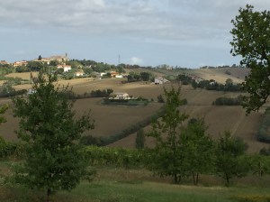 Near Mondavio, our house is in the cream building at the front