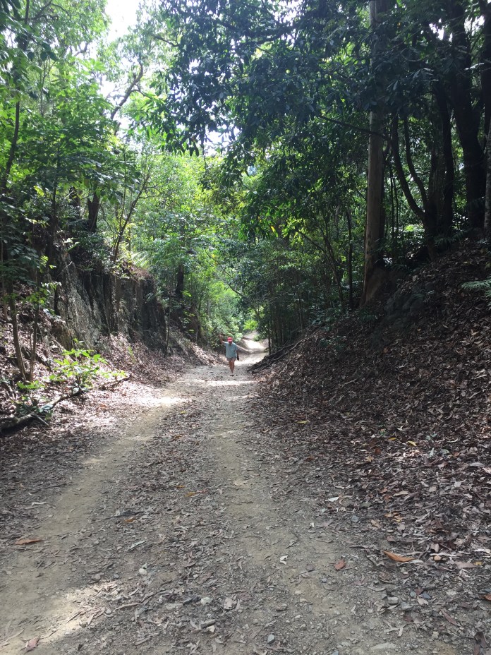 A1DBD06F-A602-40EA-8542-7D32D74CB019